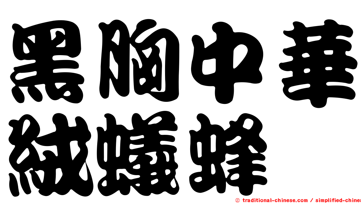 黑胸中華絨蟻蜂
