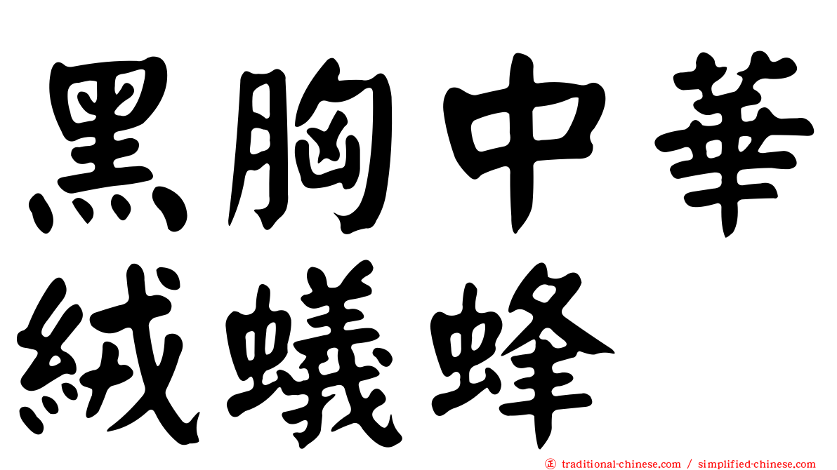 黑胸中華絨蟻蜂
