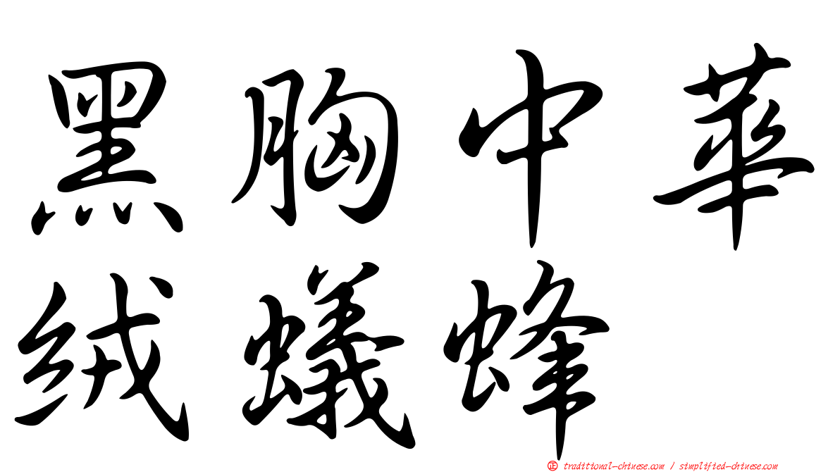 黑胸中華絨蟻蜂