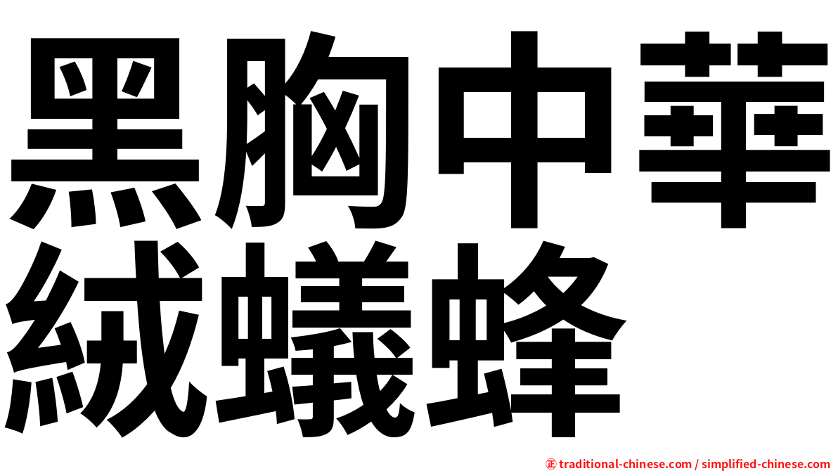 黑胸中華絨蟻蜂