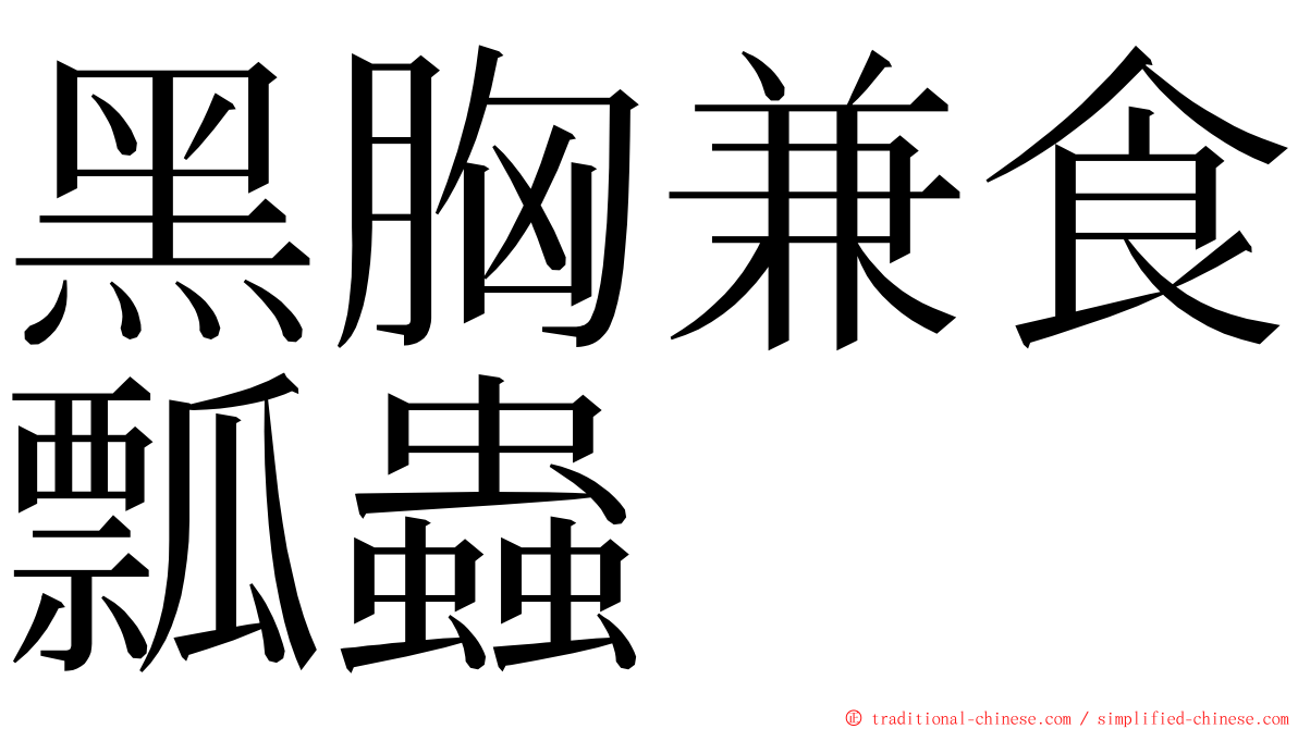 黑胸兼食瓢蟲 ming font