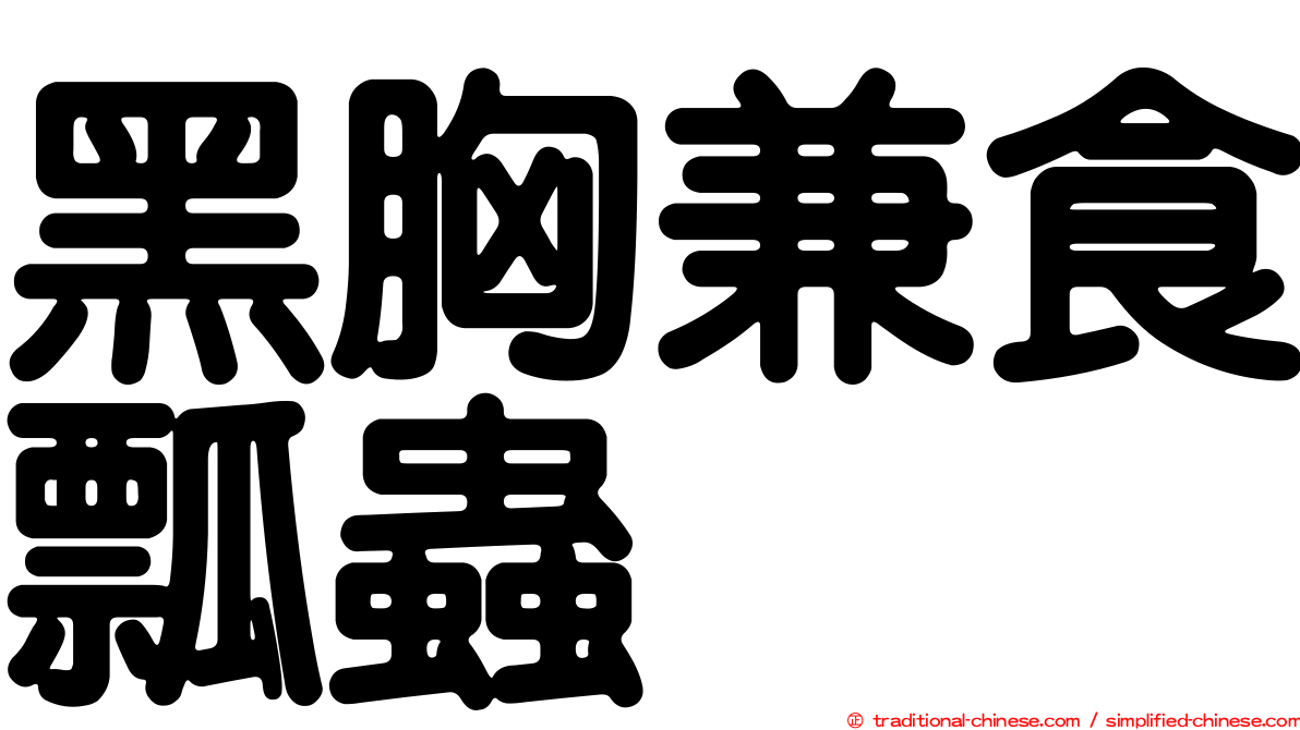 黑胸兼食瓢蟲