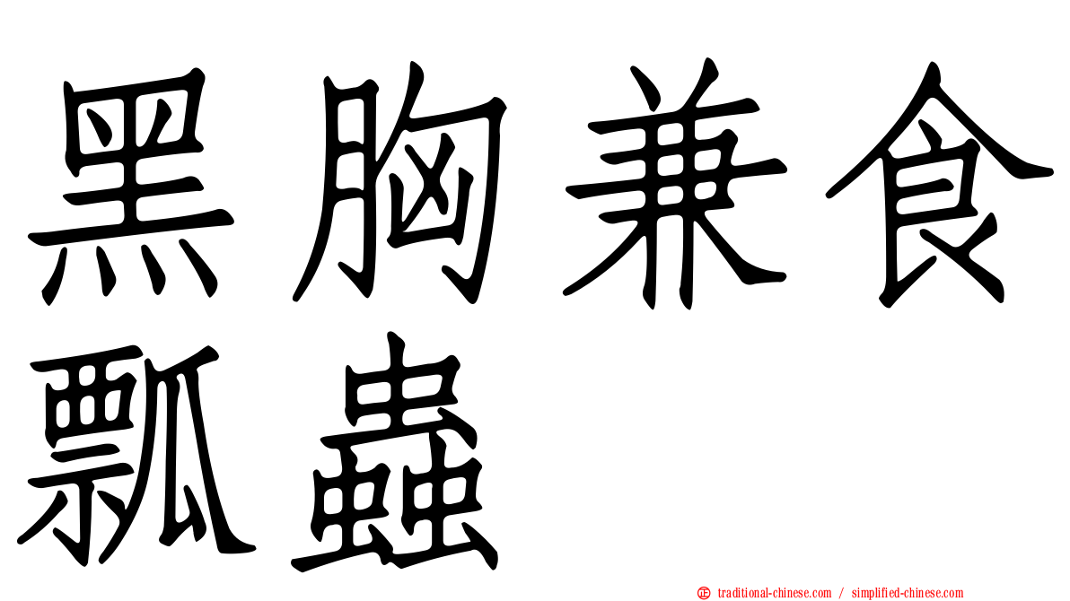 黑胸兼食瓢蟲