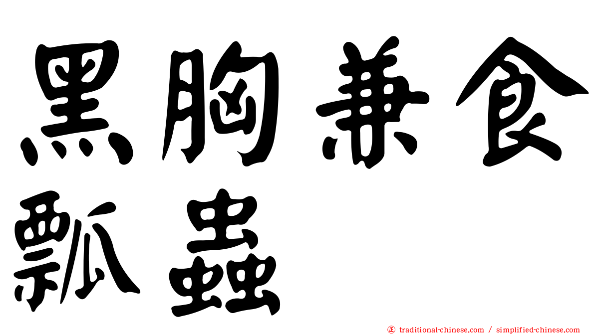 黑胸兼食瓢蟲