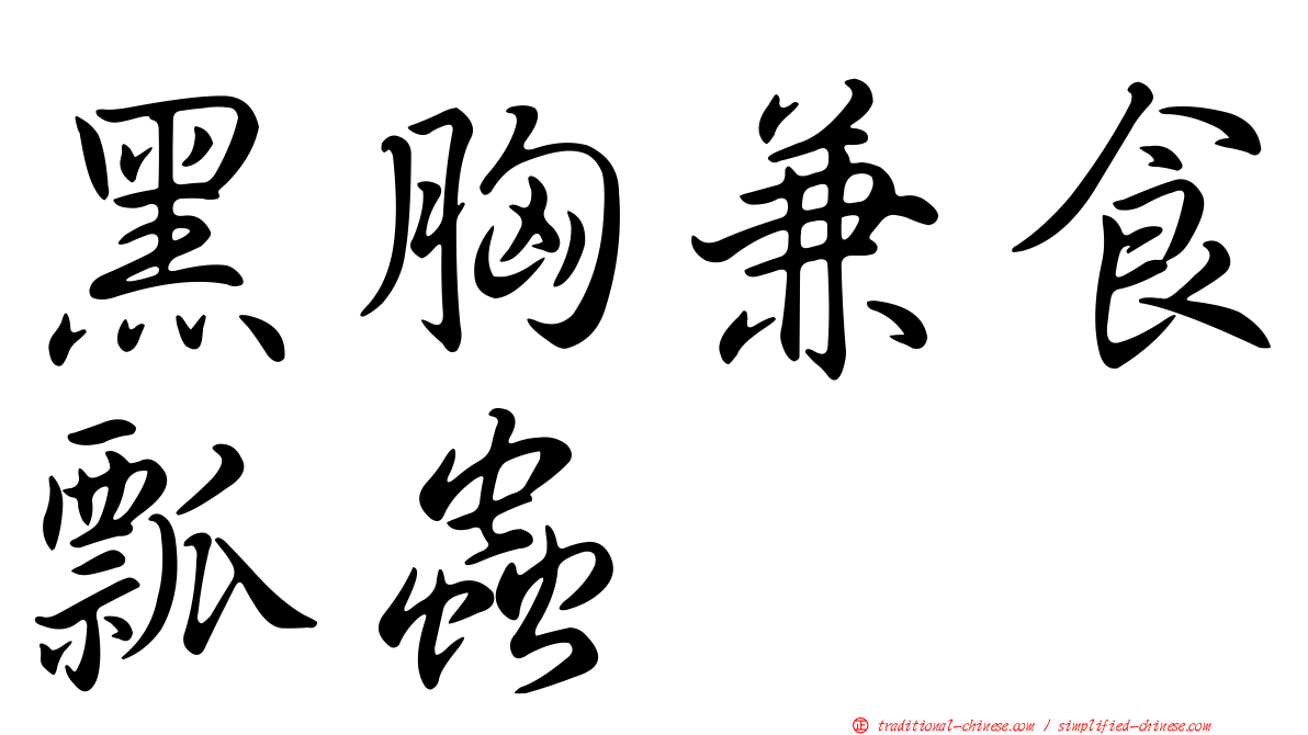 黑胸兼食瓢蟲