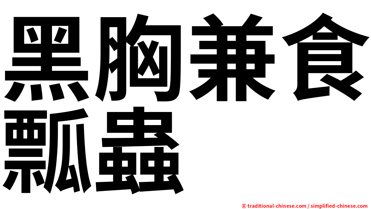 黑胸兼食瓢蟲