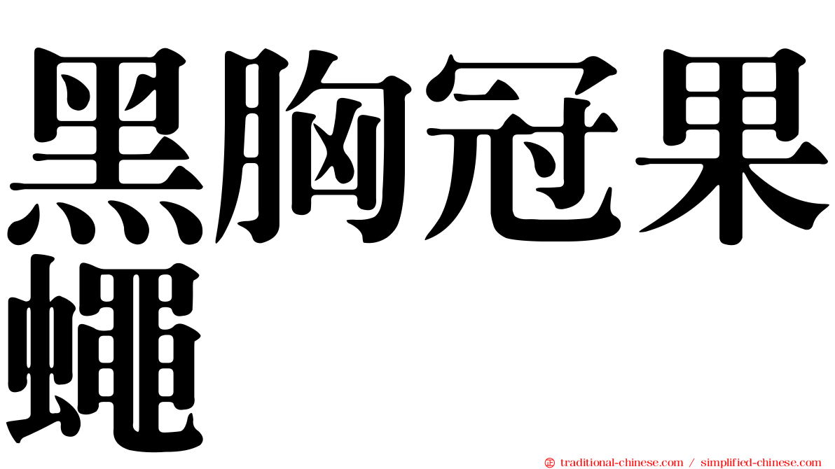 黑胸冠果蠅