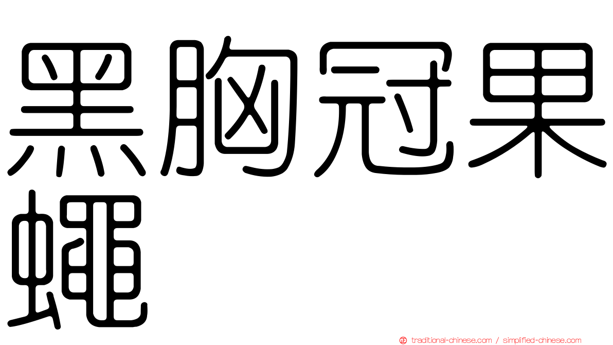 黑胸冠果蠅