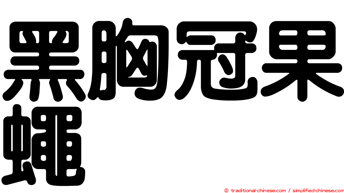 黑胸冠果蠅