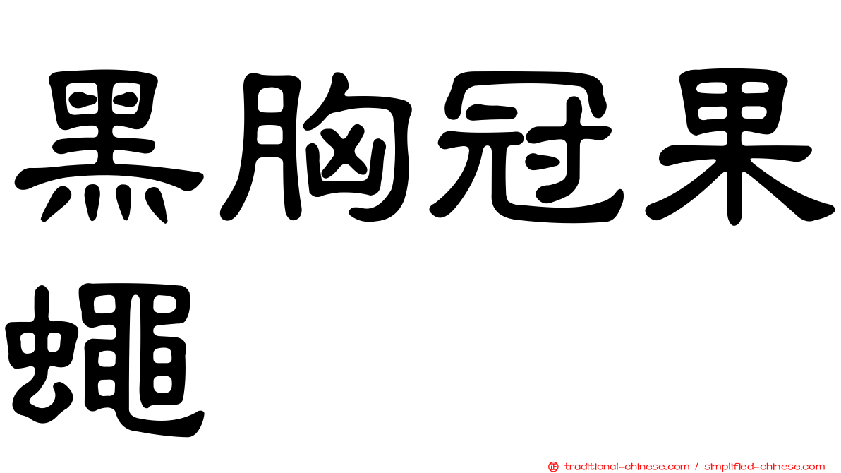 黑胸冠果蠅