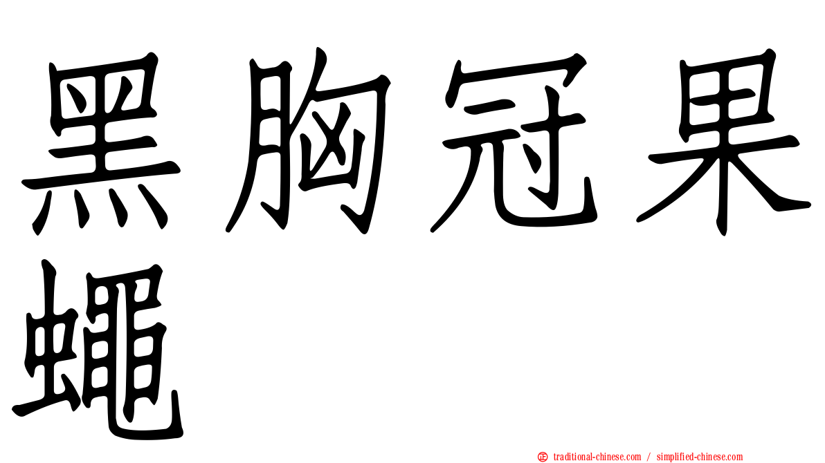 黑胸冠果蠅
