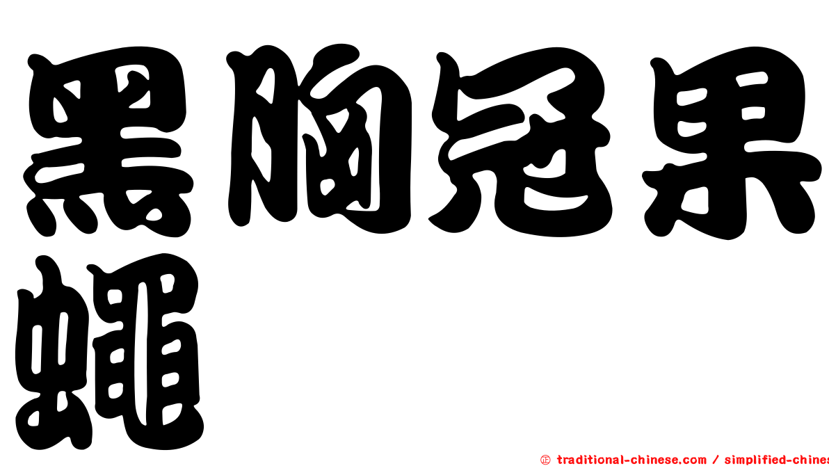 黑胸冠果蠅