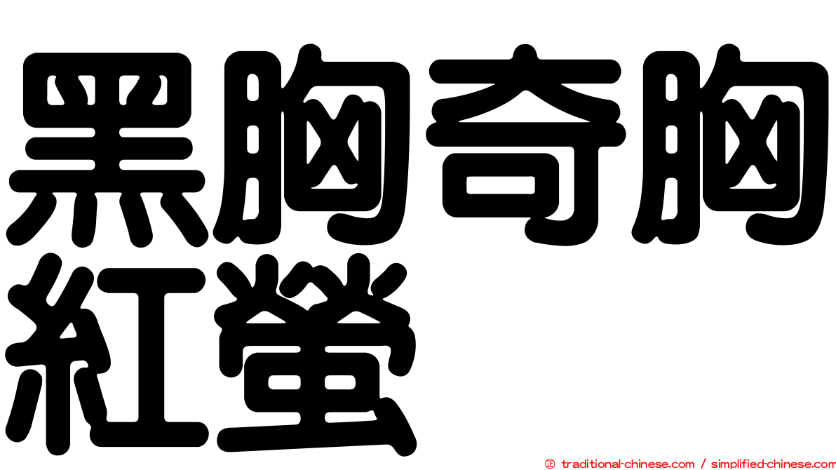 黑胸奇胸紅螢