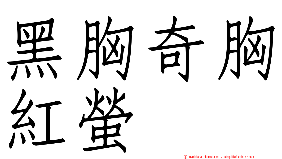 黑胸奇胸紅螢