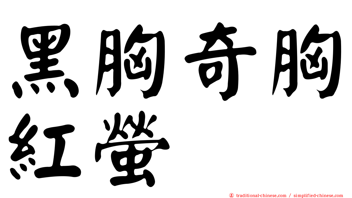 黑胸奇胸紅螢