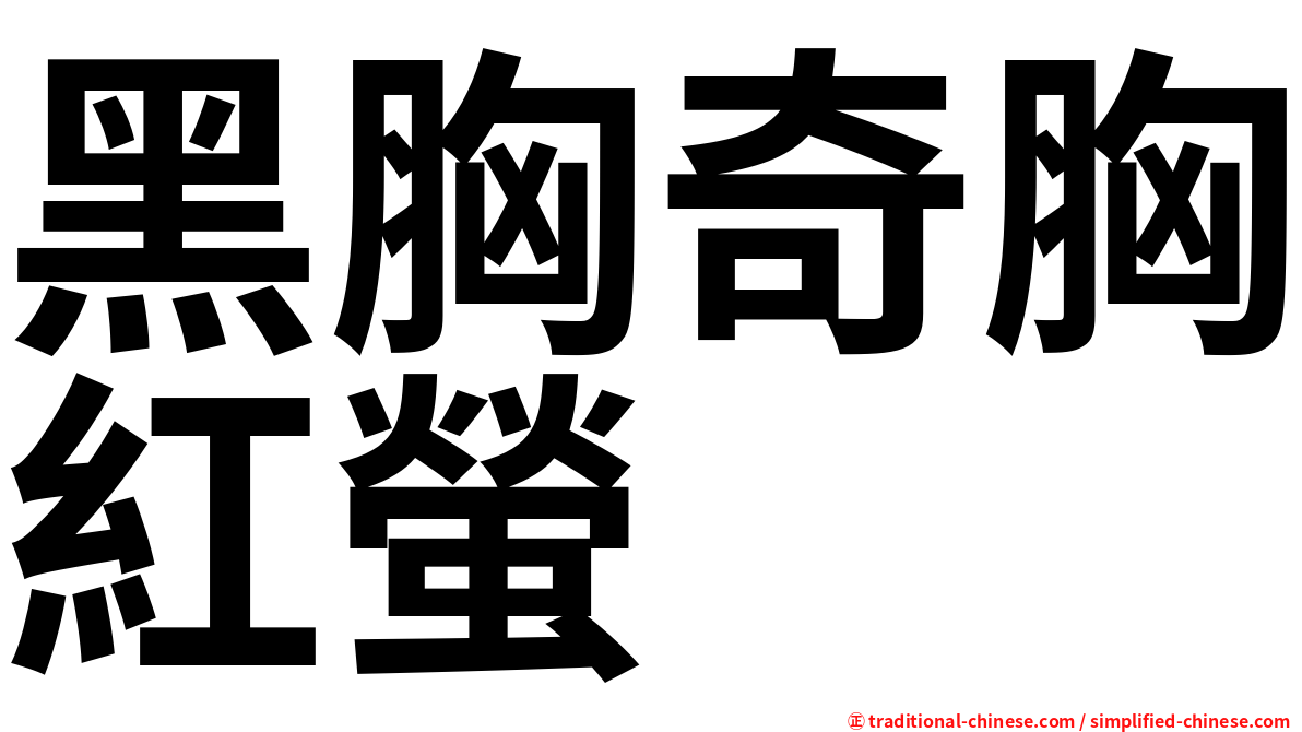 黑胸奇胸紅螢