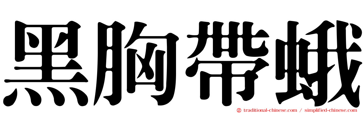 黑胸帶蛾