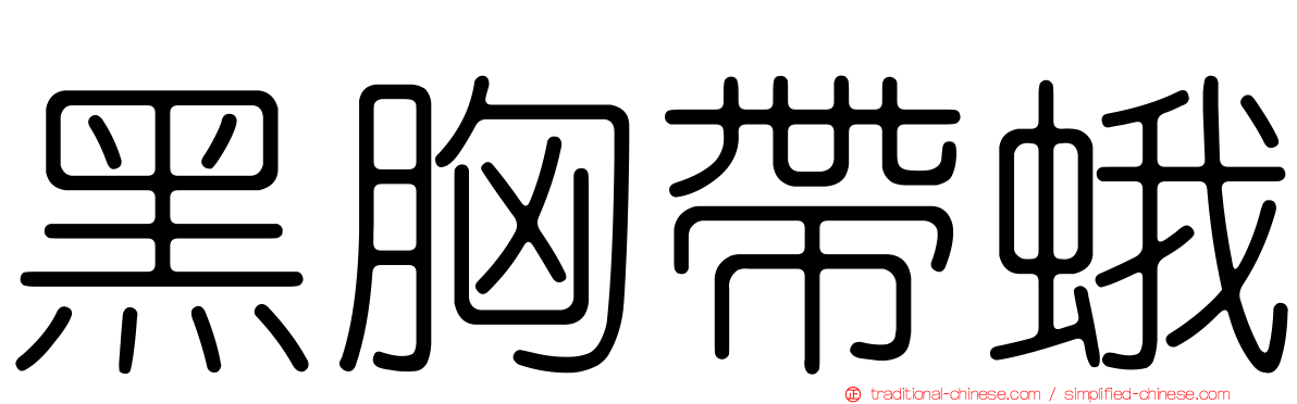 黑胸帶蛾