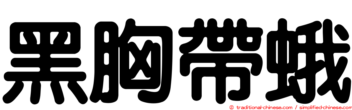 黑胸帶蛾