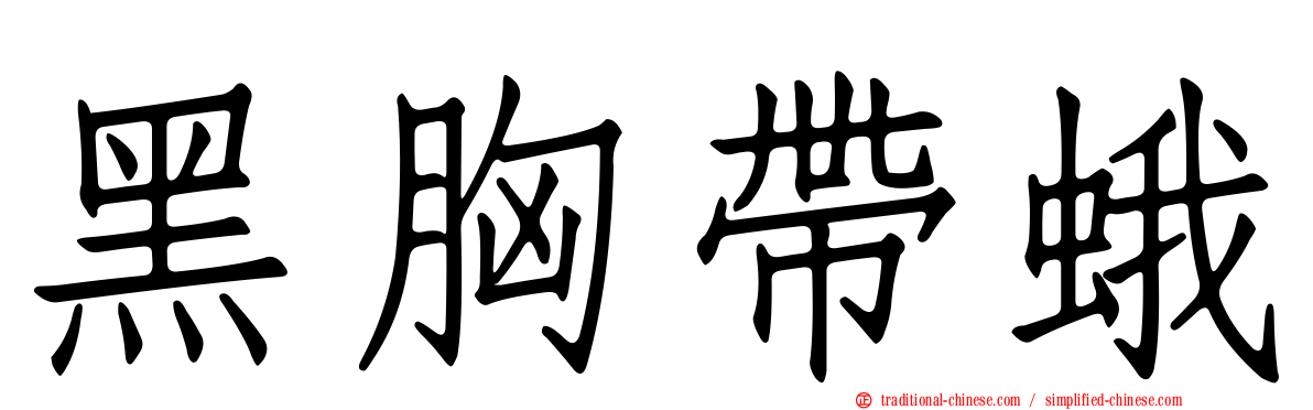 黑胸帶蛾