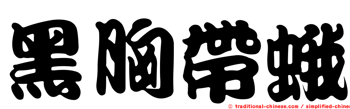 黑胸帶蛾