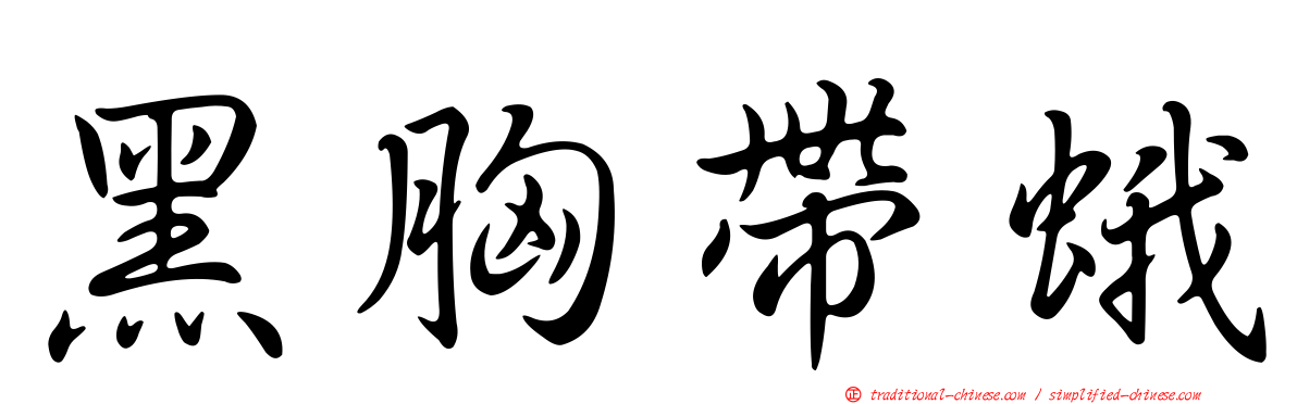 黑胸帶蛾