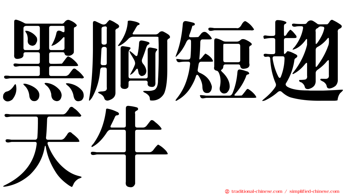 黑胸短翅天牛