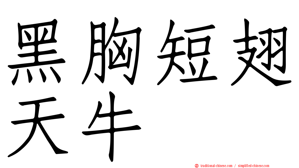 黑胸短翅天牛