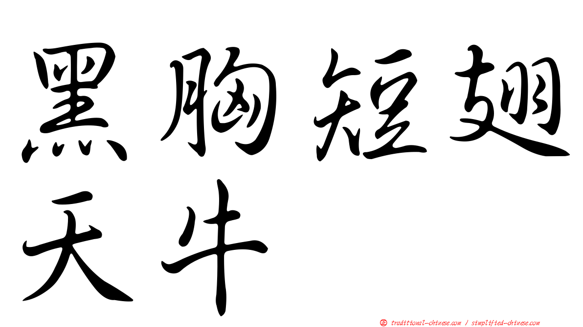 黑胸短翅天牛