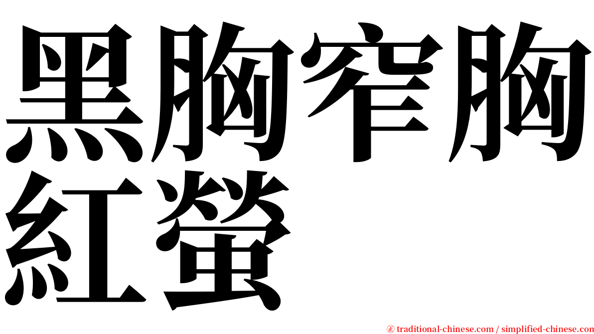 黑胸窄胸紅螢 serif font