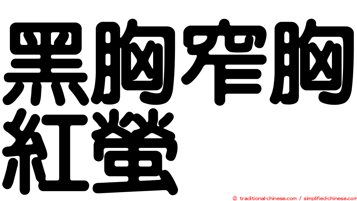 黑胸窄胸紅螢