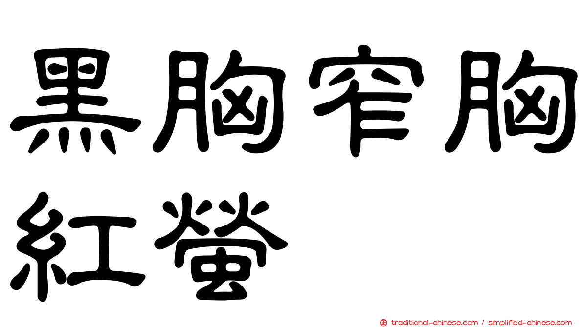 黑胸窄胸紅螢