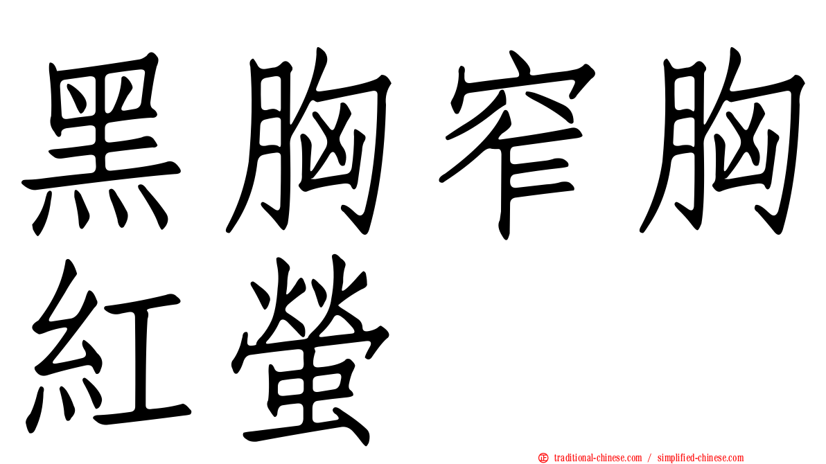 黑胸窄胸紅螢