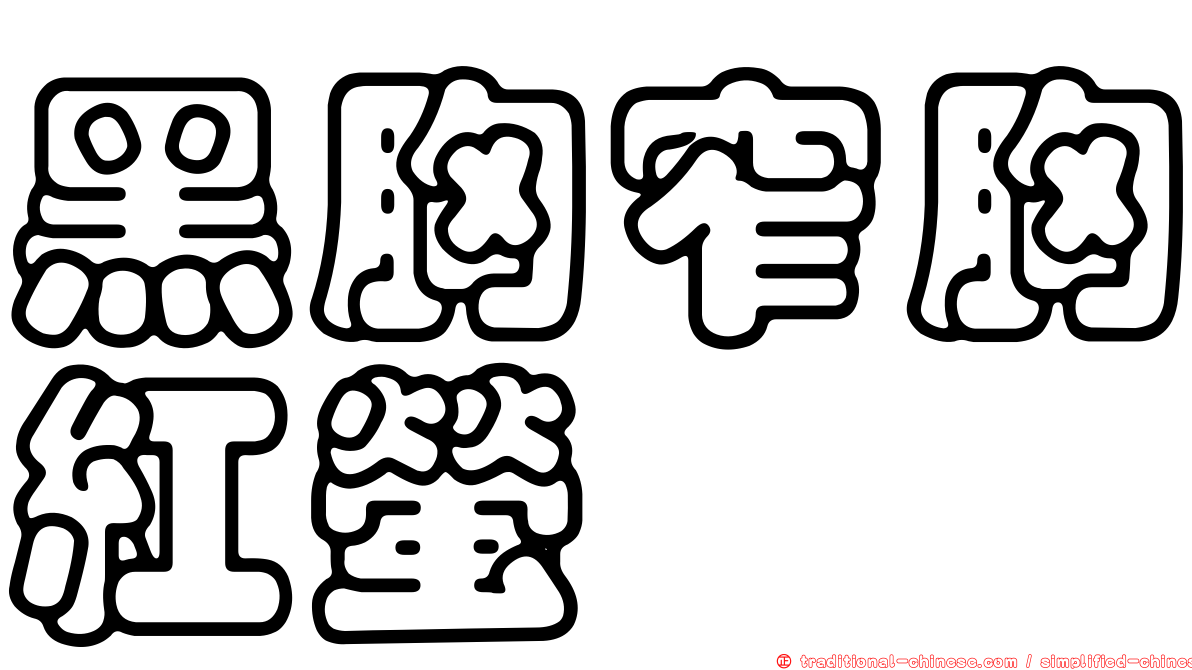 黑胸窄胸紅螢