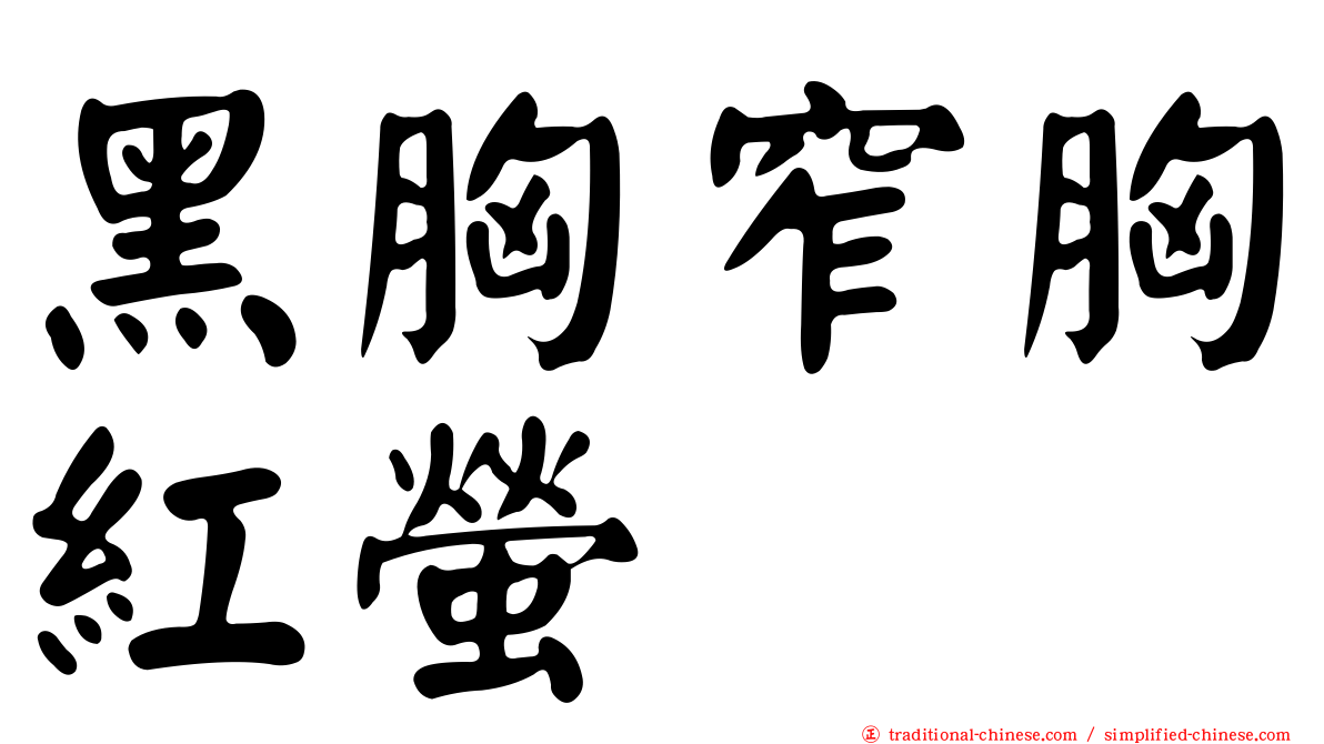 黑胸窄胸紅螢