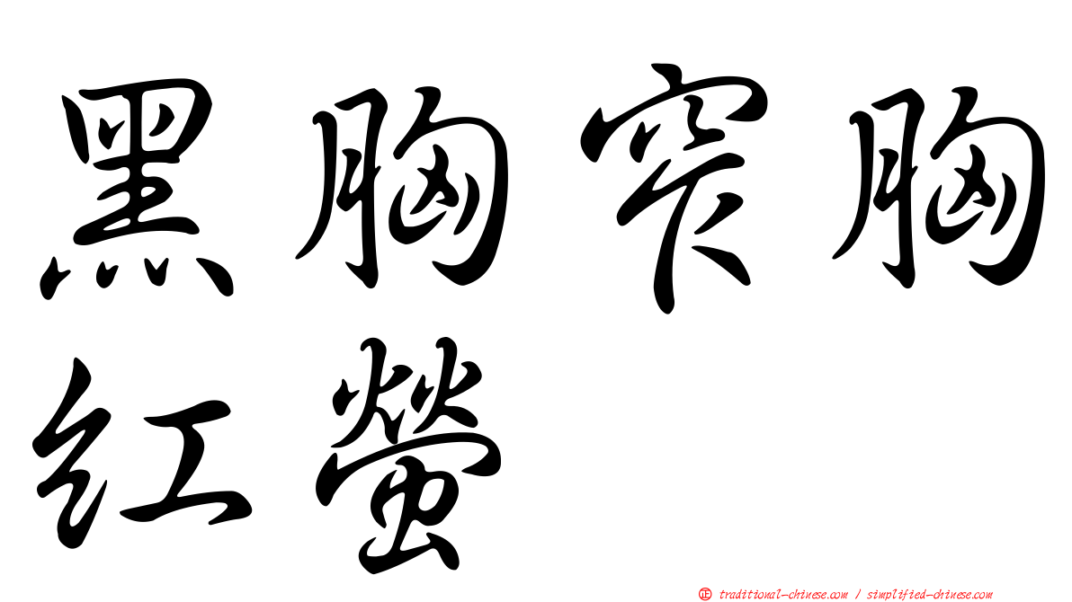 黑胸窄胸紅螢