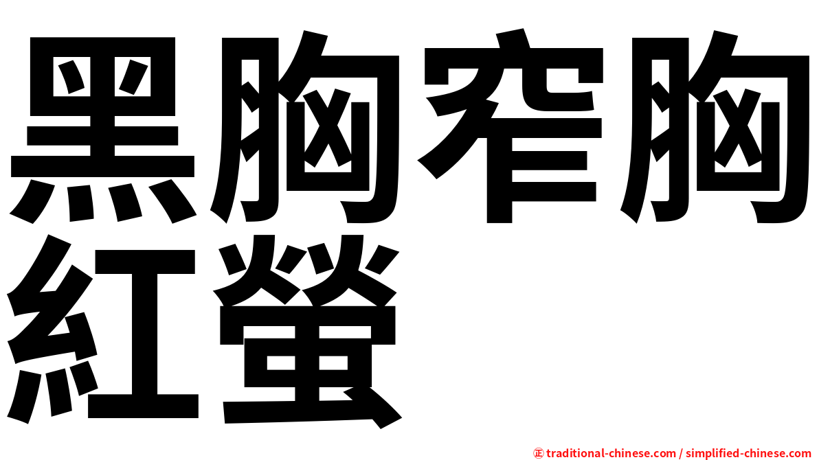 黑胸窄胸紅螢