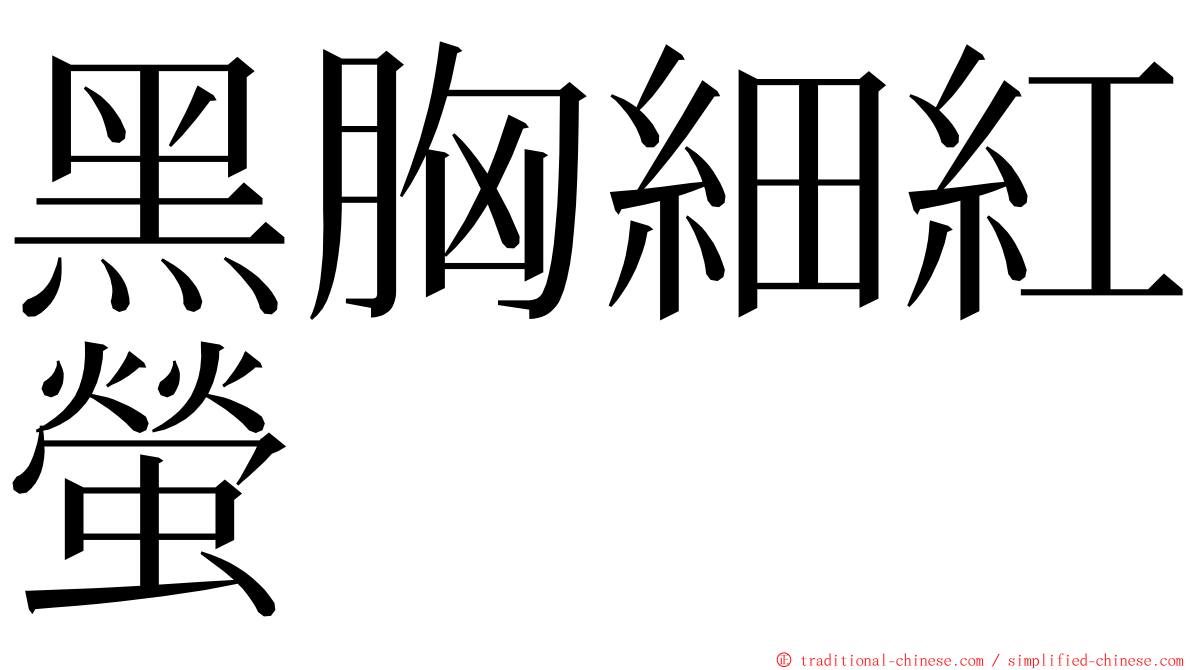 黑胸細紅螢 ming font