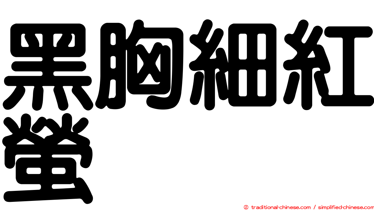 黑胸細紅螢