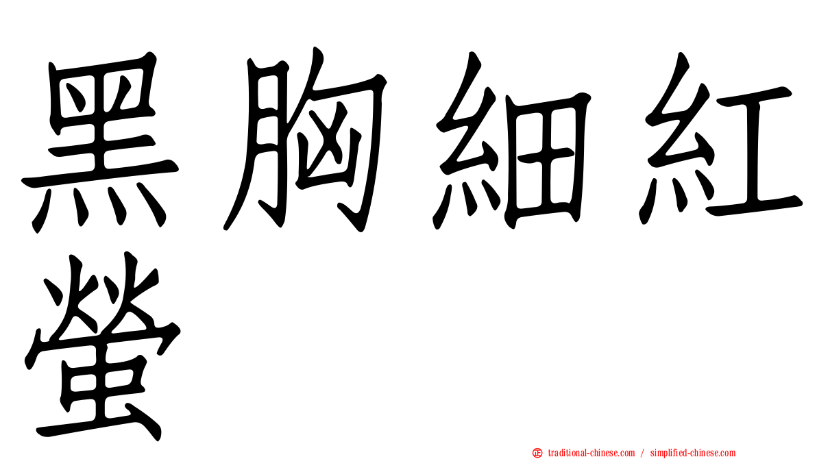 黑胸細紅螢
