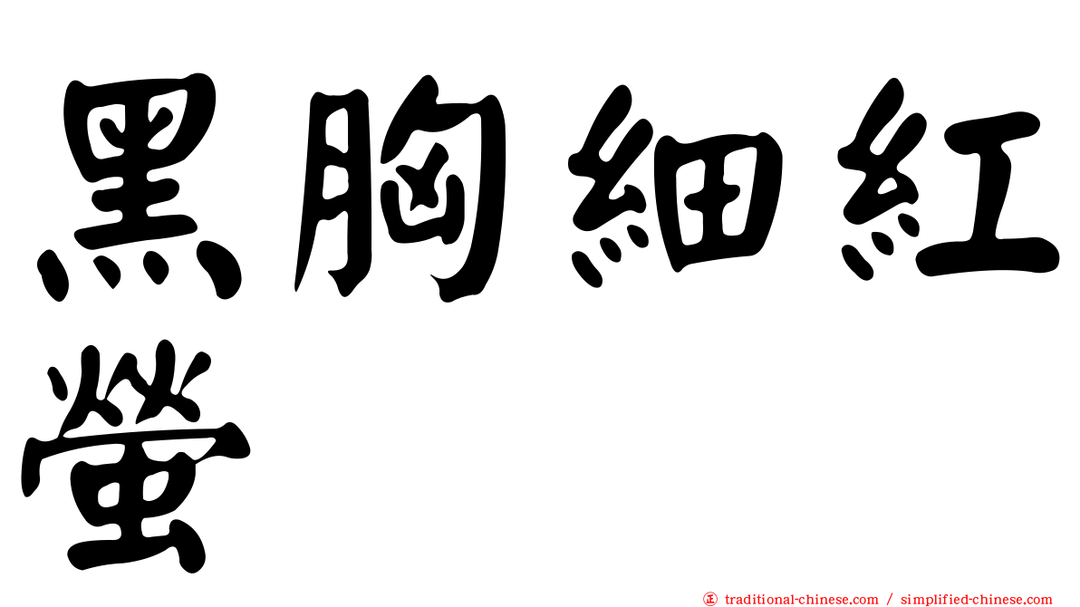 黑胸細紅螢