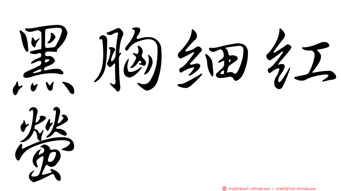 黑胸細紅螢