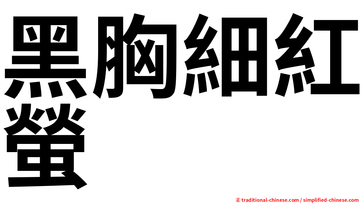 黑胸細紅螢