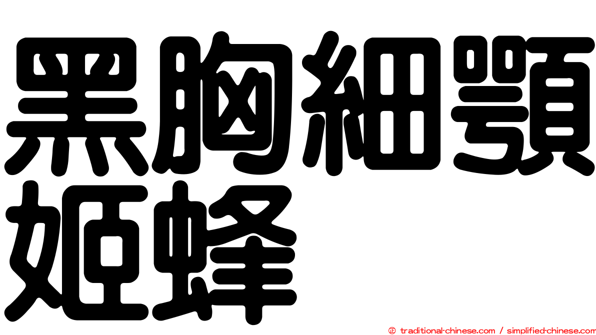 黑胸細顎姬蜂