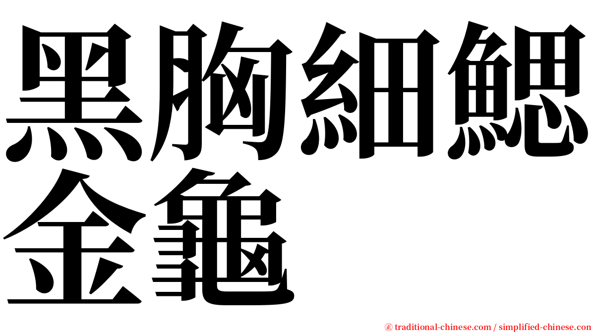 黑胸細鰓金龜 serif font