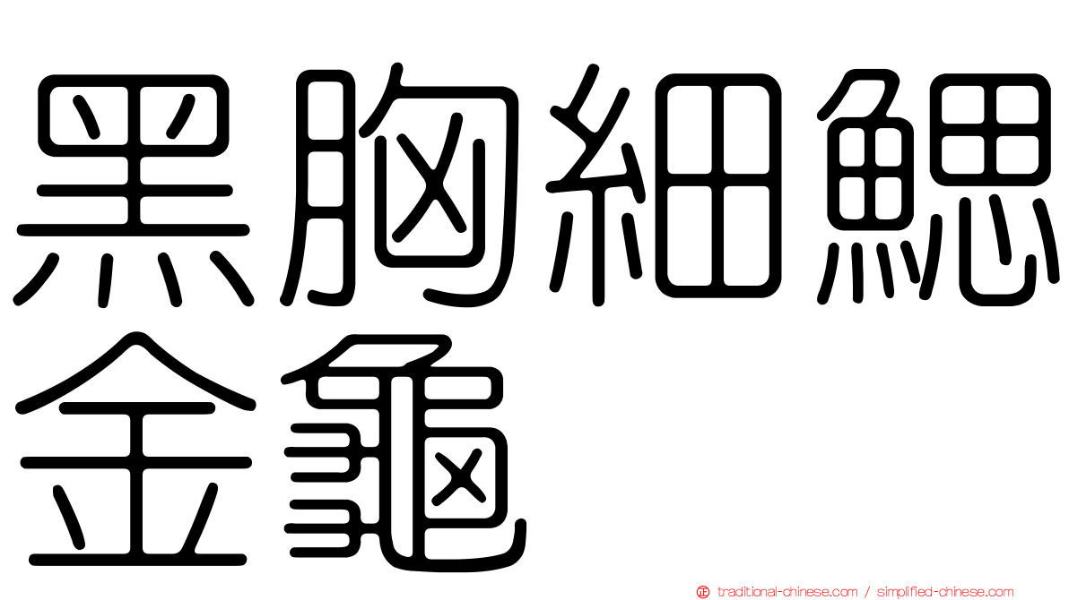 黑胸細鰓金龜