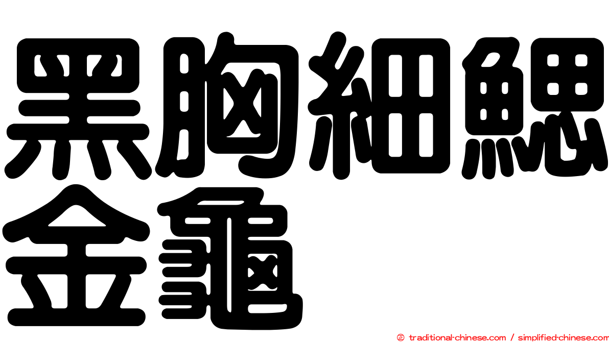 黑胸細鰓金龜