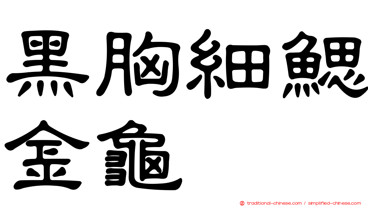 黑胸細鰓金龜