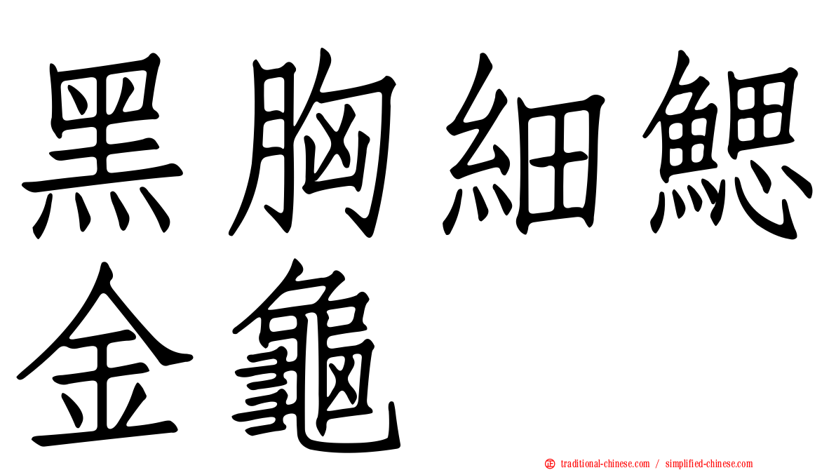 黑胸細鰓金龜