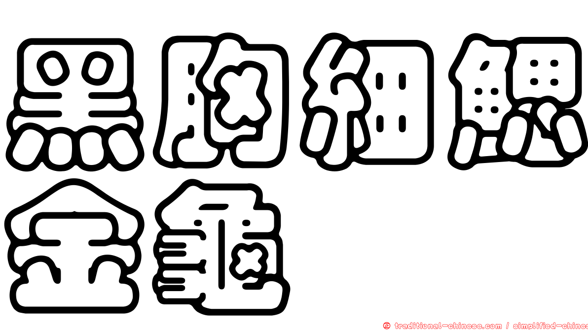 黑胸細鰓金龜